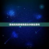 属相龙和属相兔能合伙做生意吗，属兔的能与属龙的合伙做生意嘛