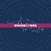 属狗的和哪几个属相合 属狗的和什么属相最合适呢