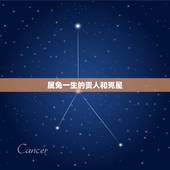属兔一生的贵人和克星，属鸡人一生最克谁