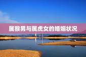 属猴男与属虎女的婚姻状况，1992年是苦命猴还是富猴