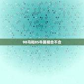 90马和85牛属相合不合