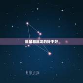 属鼠和属龙的好不好，属龙的和属鼠的相配吗