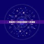 男属鸡11月和女属猪11月婚配，男属鸡11月23和女属猪11月28相配