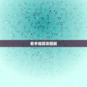 看手相算命图解，看手相算命图解