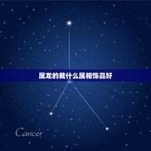 属龙的戴什么属相饰品好，属龙的戴羊挂件好吗