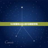 92年猴和2002的马婚配好吗，属猴与属马婚配好不好