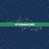 马下半年的运气如何，属马的人明年运势，怎样