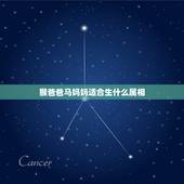 猴爸爸马妈妈适合生什么属相，属马的爸爸和属猴的妈妈生个虎宝宝干吗