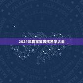 2021年狗宝宝男孩名字大全，2021男孩名字洋气