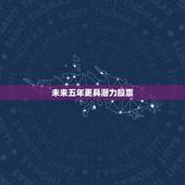 未来五年更具潜力股票，中国股票排行榜前十名
