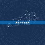 属猪的明年运势，属猪今年运势2021年运势