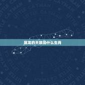 属龙的天敌是什么生肖，属龙的人最怕什么生肖