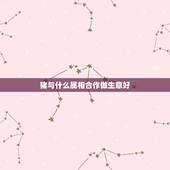 猪与什么属相合作做生意好，属猪的和什么属相做生意最好