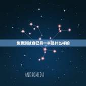 免费测试自己另一半是什么样的，怎样测试我未来的另一半是什么样子的