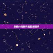 数码的和数码的能婚配吗，婚配。猜一个数字？