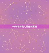 91年羊的贵人是什么属相，1991年属羊的女人和什么属相最配？