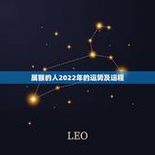 属猴的人2022年的运势及运程，1980年猴42岁劫数