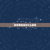 属鸡老板适合什么属相，属鸡的和什么属相做生意最佩