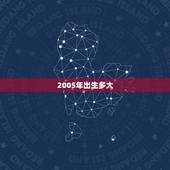 2005年出生多大，2006年出生多大年龄