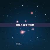 属猴人42岁过七劫，属猴的桃花劫