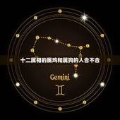 十二属相的属鸡和属狗的人合不合，属鸡的和什么属相不适合结婚