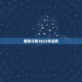 紫微斗数2022年运势，2022 年流年运势分析