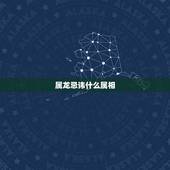 属龙忌讳什么属相，属龙忌讳做什么