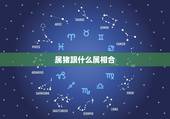 属猪跟什么属相合，猪跟哪个生肖最配对