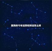 属狗的今年运势和财运怎么样，70年属狗2022 下半年运势