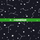 20年的属兔运势，属兔人哪年运势会好起来