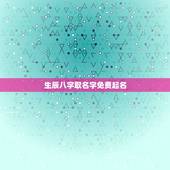 生辰八字取名字免费起名，生辰八字免费取名字