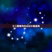 十二属相为什么以小鼠当先，十二生肖中，鼠为什么排在第一呢，有什么依据？