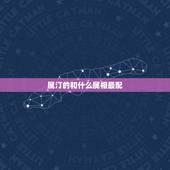 属汀的和什么属相最配，属马的和什么属相最配