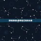 邵姓属相头像带自己姓的头像，这种带姓名的头像是怎么做的？