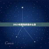 2023年属兔的是什么命，2023年属兔几月出生好