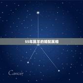 55年属羊的婚配属相，55年羊和63年兔是否合婚