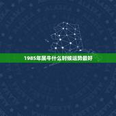 1985年属牛什么时候运势最好，85年属牛今年如何转运