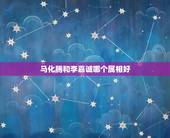 马化腾和李嘉诚哪个属相好，李嘉诚马云马化腾谁更有钱