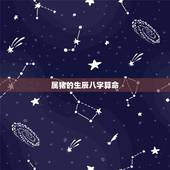 属猪的生辰八字算命，猪年的生辰八字