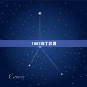 1987年丁卯男，八七年属兔男的性格怎么样