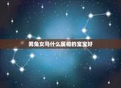 男兔女马什么属相的宝宝好，属马和属兔的相配吗
