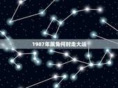 1987年属兔何时走大运，1987年属兔的姻缘命运