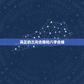 真正的三元合婚和八字合婚，急求八字合婚 ！急~！急~！