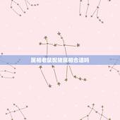 属相老鼠配猪属相合适吗，1983年属猪男和1984年属鼠女的配吗