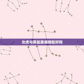 女虎与男鼠属相婚配好吗，属鼠和属虎的婚配好吗？