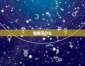 星盘怎么看会不会在一起(解读星座配对)