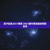 孩子起名2021男孩 2021属牛男孩最吉利的名字