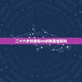 二十六岁的猪和40的猴能婚配吗，1992年属猴与1995年属猪的能婚配