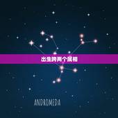 出生跨两个属相，十二生肖五行属性对照表