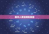 属羊人更佳婚配属相，属羊适合找什么属相的